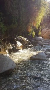 lights of the valley