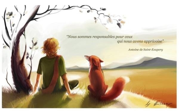 le petit